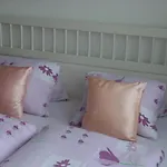 Meixner Apartment *
