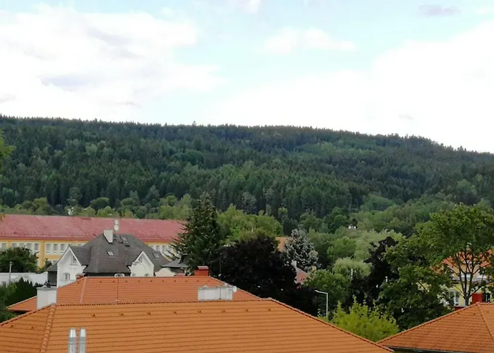 Apartment Meixner Marianske Lazne